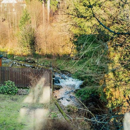 Ferienwohnung Kiefer Braunlage Eksteriør bilde