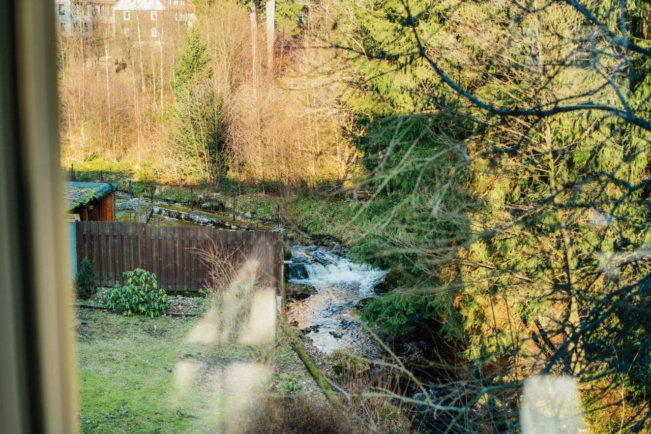 Ferienwohnung Kiefer Braunlage Eksteriør bilde